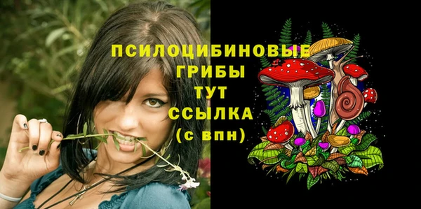 соль курить ск Алексин