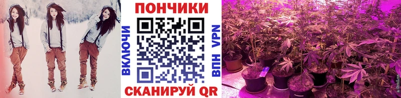 blacksprut ссылка  Ивдель  Канабис гибрид  закладка 